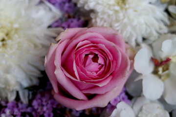 One Pink rose flowers arrange on white flowers