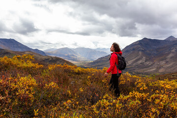 Scenic View of Girl Hiking on a Cloudy Fall Day in Canadian Nature. Taken in Tombstone Territorial Park, Yukon, Canada.