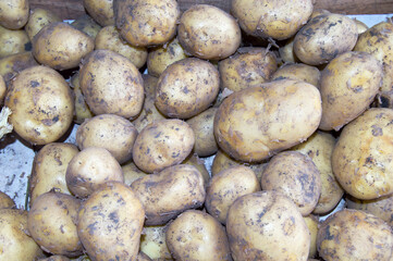 close up of potatoes