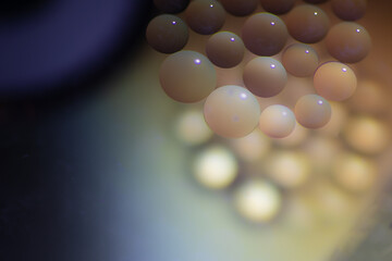 Oil drops in the water create an artistic and imaginatively designed abstract background