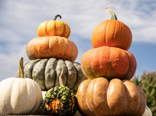 Colorful pumpkins and gourds on sale at Farmer's Market