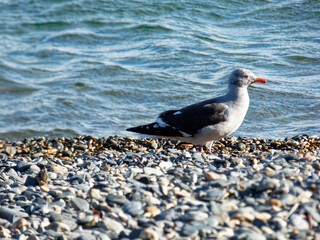 Ushuaia, Republica Argentina