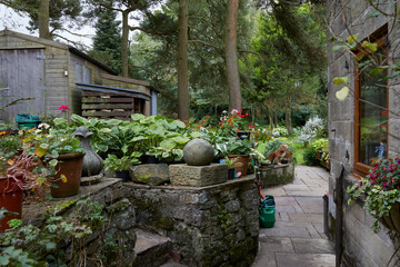 Autumn sun illuminates a corner of the moorland smallholding garden highlighting the Buddleia and hosta display at 900ft in Nidderdale 18/09/2020