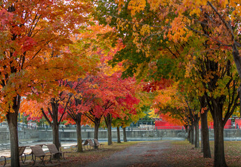 autumn in the city