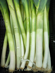 Fresh leek stems for sale in market