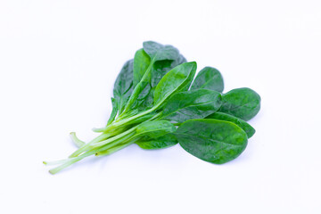 Young fresh spinach leaves on a white background.
