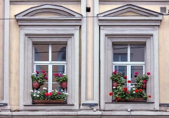 Fototapeta na wymiar red and white geraniums bloom on the window and adorn the facade of the building