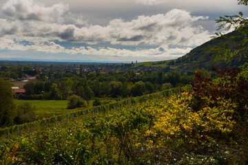 Landschaft oberhalb von Scherwiller im Elsass