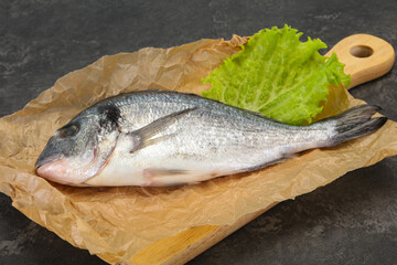 Raw Dorada fish  for cooking