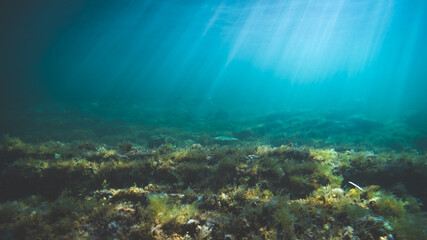 Underwater
