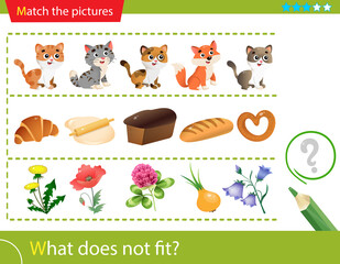 Logic puzzle for kids. What does not fit? Cats. Bakery products. Flowers. Matching game, education game for children. Worksheet vector design for preschoolers.
