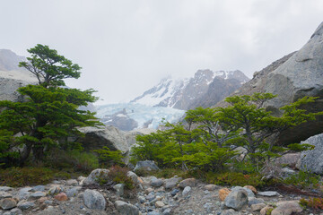 Fototapeta na wymiar Piedras Blancas Glacier view, El Chalten, Patagonia