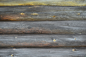 Old log wall with knots and cracks close-up. Background texture.