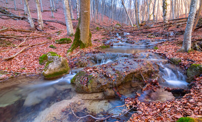 small river rushing over autumn mountain canyon covered a dry leaves