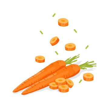 Fresh vegetable Carrot falling vector in white background