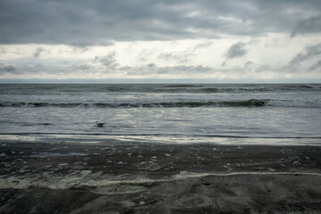 One Seagull Playing in the Ocean With a Dramatic Stormy Sky Behind It