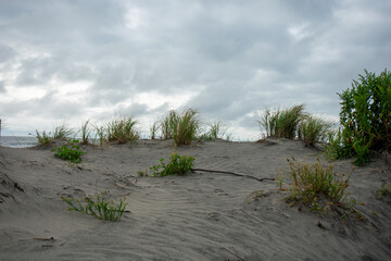 A Sandy Beach Dune With a Dramatic Stormy Sky Over It