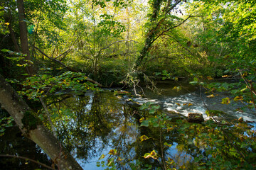 Grand Ried nahe Marckolsheim im Elsass