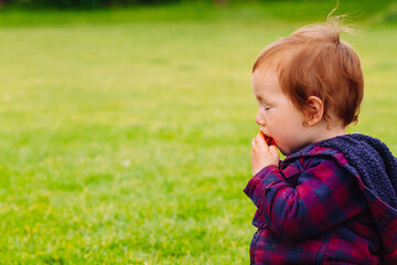 Young boy, just a toddler, eating a snack with blissful enjoyment