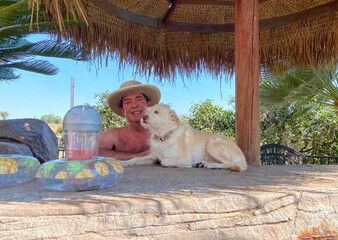 tiki hut with dog  