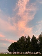 sunset over the field