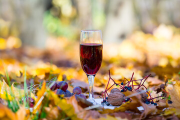 closeup wine glass stay among vine and dry leaves, autumn outdoor drink background © Yuriy Kulik