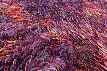 Growing wavy particles, abstract color background, 3d rendering.