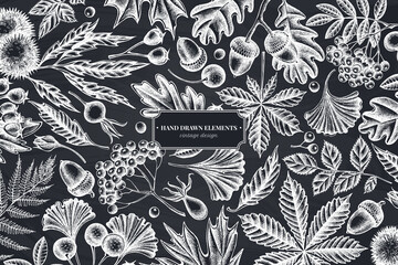 Monochrome design with chalk fern, dog rose, rowan, ginkgo, maple, oak, horse chestnut, chestnut, hawthorn