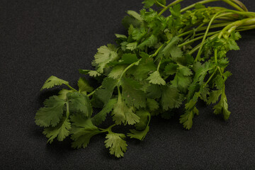 Green coriander or cilanto leaves heap