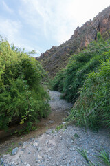 Fototapeta na wymiar river crossing a mountainous area in southern Spain