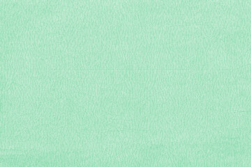 Vintage and old looking paper background. Retro book cover. Ancient book page.