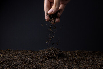 Leaf tea. a lot of loose tea. Hand sprinkles loose tea on black background