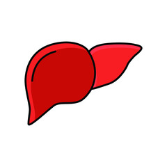 Liver Internal Organ Flat Line Icon