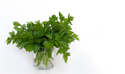 Bouquet of green parsley in a glass on a white background