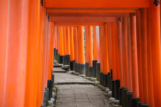 Red gate with Japanese words at Fushimi Inari Taisha, Kyoto, Japan. © otmman