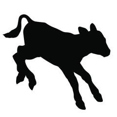 Hand drawn vector silhouette of standing calf isolated on white background. Black and white  stock illustration of baby cow. © Viktoria