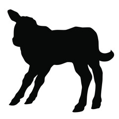 Hand drawn vector silhouette of standing calf isolated on white background. Black and white  stock illustration of baby cow.