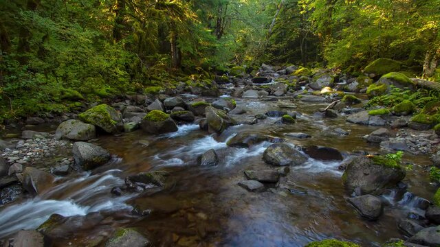 Rock Creek Timelapse of flowing creek with sun rays
