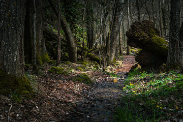 A small stream of water crossing the Duraton gorges, Segovia, Spain.