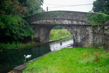 tunnel and a bridge in Irish countryside
