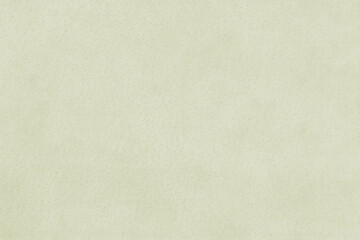 Vintage and old looking paper background. Retro book cover. Ancient book page.