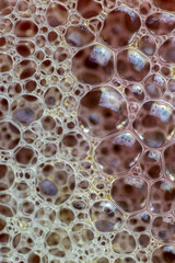 Air bubbles in the water and oil mixture create an artistic and imaginatively designed abstract...
