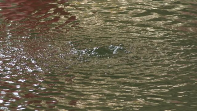 Water emanation in a natural water stream birth