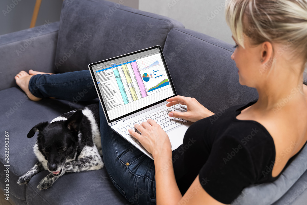 Aufkleber woman working with spreadsheet software on computer