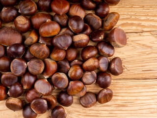 Edelkastanien im Herbst