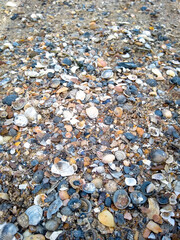 pebbles on the beach
