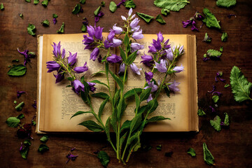 A bouquet of purple flowers on an open book