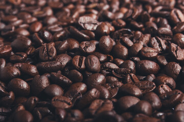 Fresh roasted coffee beans. Macro shot.