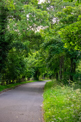 Old Irish Canal