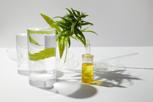 Cbd htc canabbis oil in laboratory. Concept of medicine.